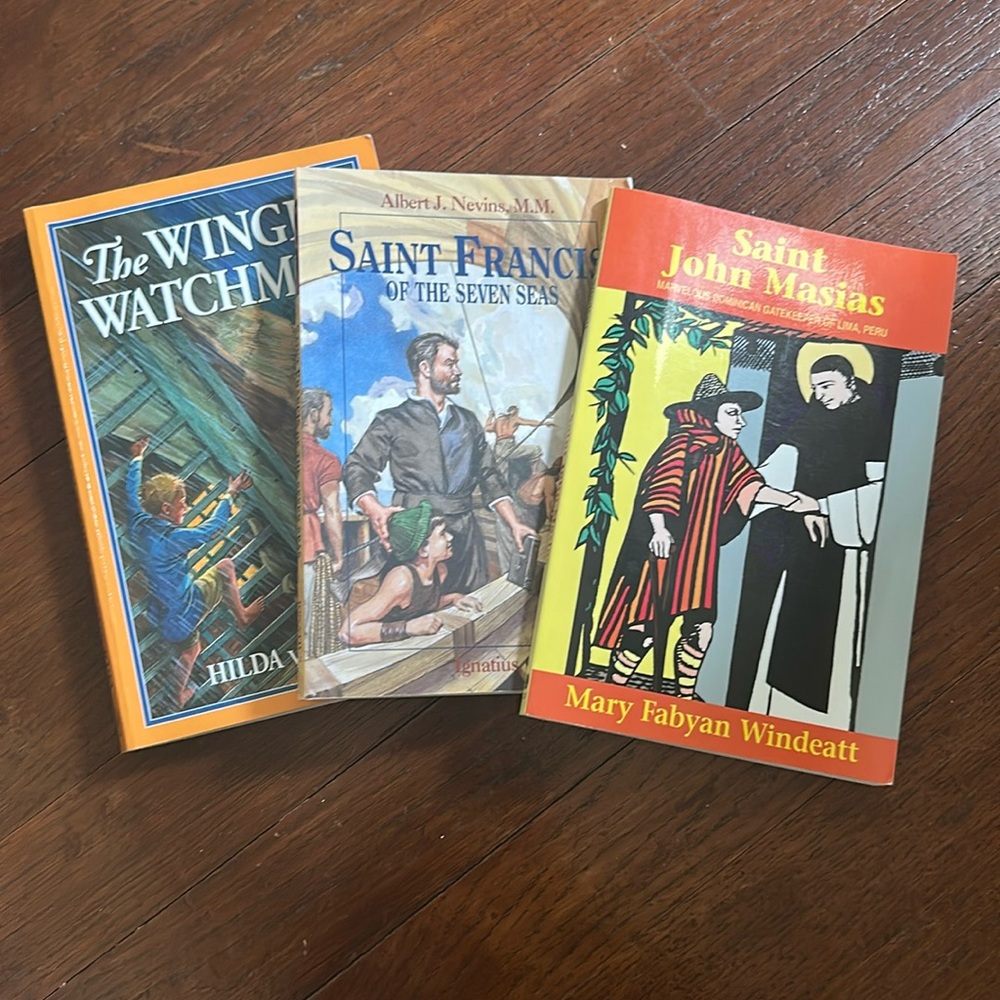 3 Piece Bundle of Catholic Homeschool Chapter Books Seton Novels